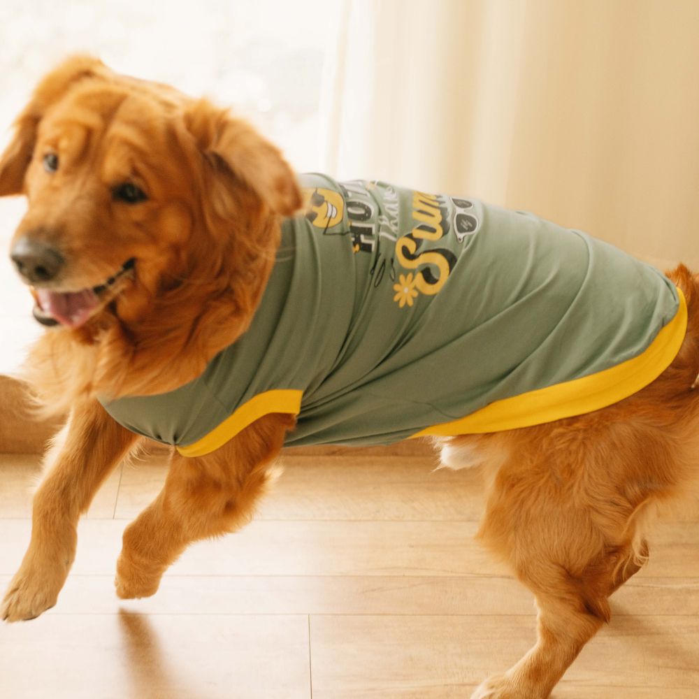 Hotter Than Summer Dog T-shirt (Green)- Soft, Stylish Fit All